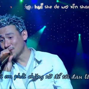 [Vietsub + Kara] 情网 - Lưới Tình - Trương Học Hữu (Live)